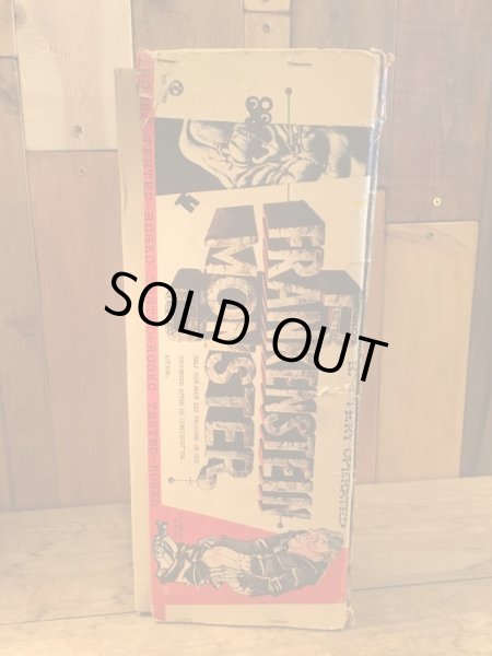 画像11: ROSKO BLUSHING FRANKENSTEIN MONSTER (11)