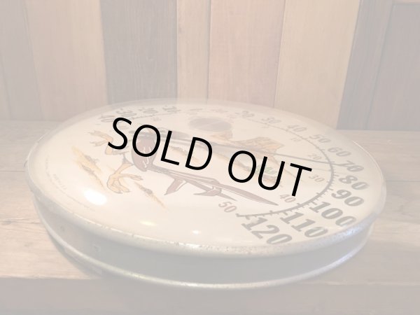 画像5: Road Runner Thermometer (5)