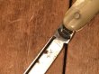 50年代頃の持ち手にシェルが使用されているビンテージポケットナイフ