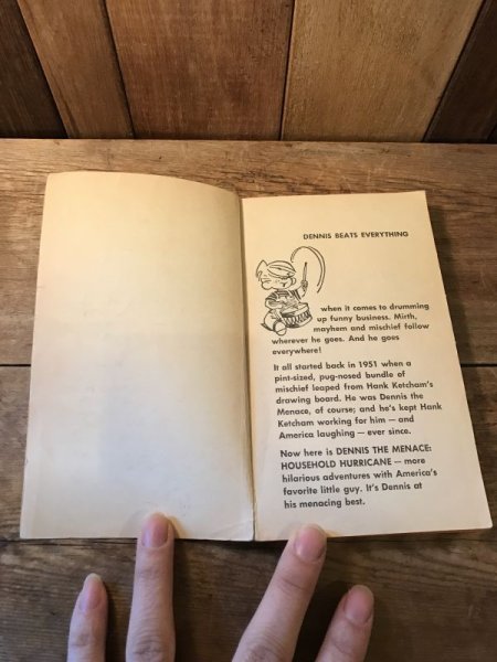 70年代頃のデニスザメナスのヴィンテージ漫画