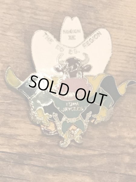 70〜80年代頃のスーベニア物のヴィンテージピンバッチ