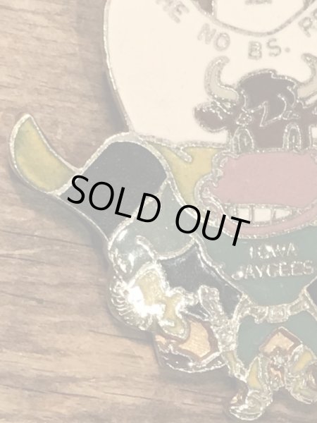 70〜80年代頃のスーベニア物のビンテージピンバッジ