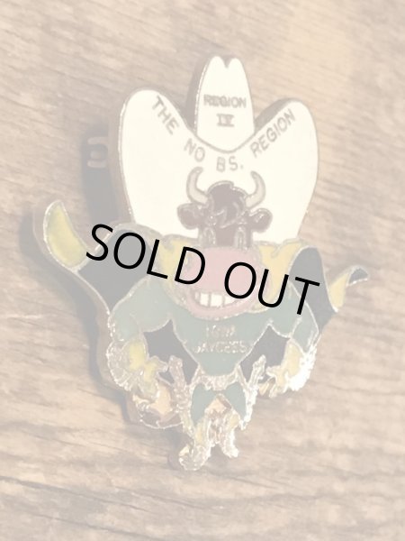 70〜80年代頃のスーベニア物のヴィンテージピンバッチ