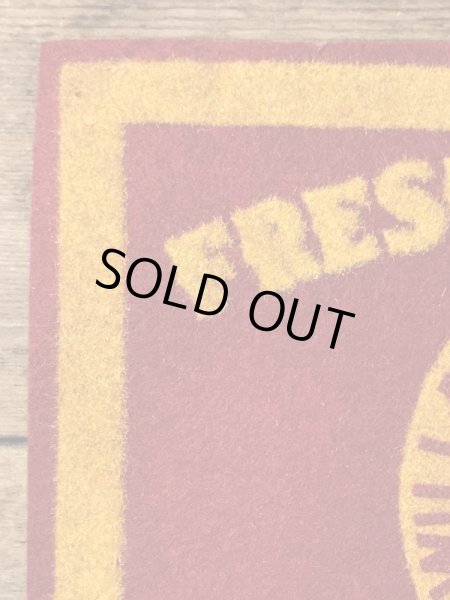 40年代頃のユニバーシティ物のビンテージワッペン