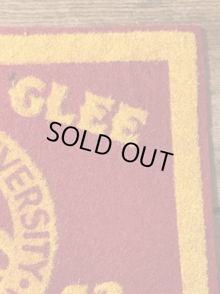 40年代頃のユニバーシティ物のビンテージワッペン