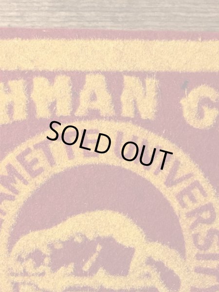 40年代頃のカレッジ物のフェルト製ヴィンテージワッペン