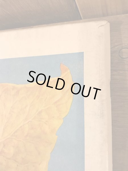 40年代頃のビンテージLIFEマガジン