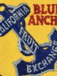 アメリカのフルーツ梱包ラベルBlue Anchorの50’s〜ヴィンテージ刺繡パッチ