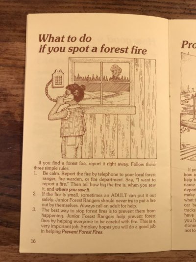 画像3: Smokey Bear Junior Forest Ranger Handbook　スモーキーベア　ビンテージ　ハンドブック　企業キャラ　80年代