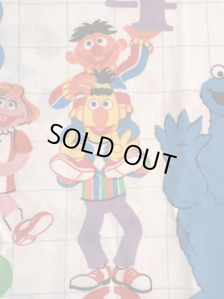 セサミストリートのキャラクターとナンバーが書かれた70’sヴィンテージピローケース