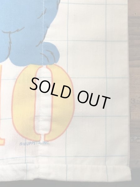 セサミストリートのキャラクターとナンバーが書かれた70’sヴィンテージピローケース