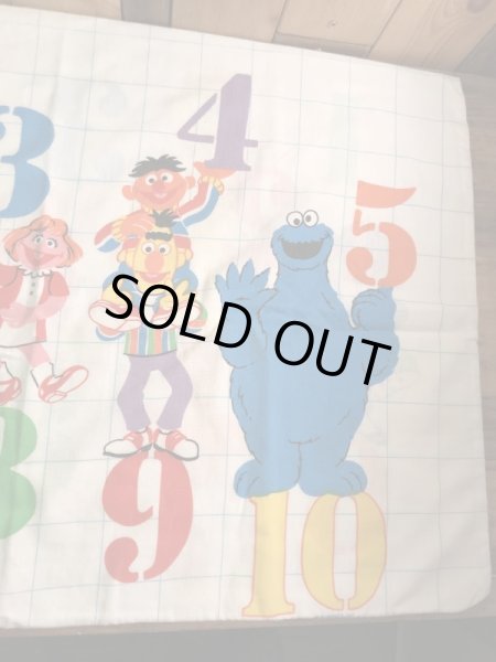 セサミストリートのキャラクターとナンバーが書かれた70’sヴィンテージピローケース