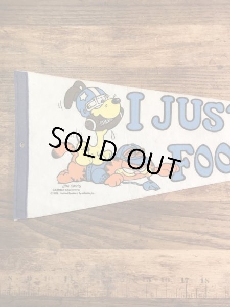 ガーフィールドとオーディーがフットボールをしている70〜80年代ビンテージペナント