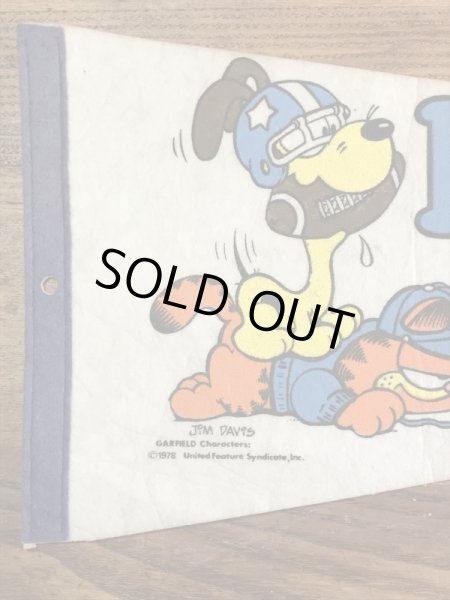 ガーフィールドとオーディーがフットボールをしている70〜80年代ビンテージペナント