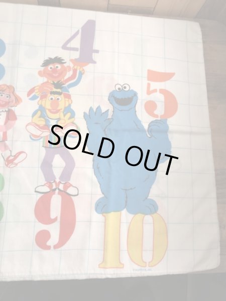 セサミストリートのキャラクターとナンバーが描かれた70’sヴィンテージピローケース