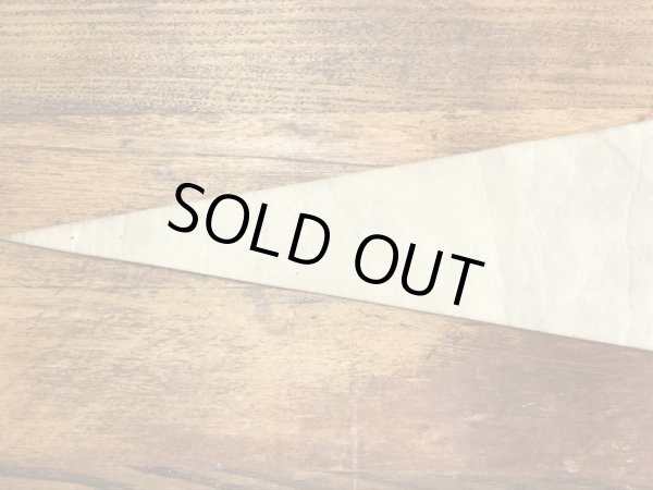 ガーフィールドとオーディーがフットボールをしている70〜80年代ビンテージペナント