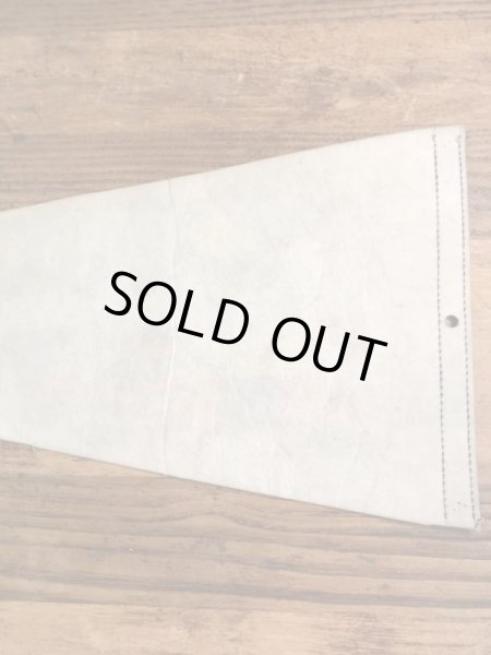 ガーフィールドとオーディーがフットボールをしている70〜80年代ビンテージペナント