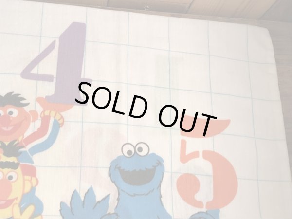 セサミストリートのキャラクターとナンバーが描かれた70’sヴィンテージピローケース