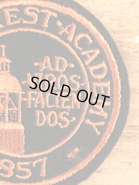 アメリカのイリノイ州レイクフォレストのボーディングスクールの〜70年代ビンテージ刺繡ワッペン