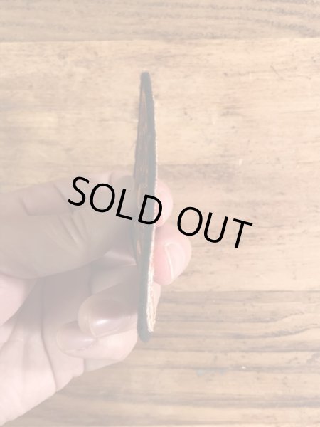 アメリカのイリノイ州レイクフォレストのボーディングスクールの〜70年代ビンテージ刺繡ワッペン