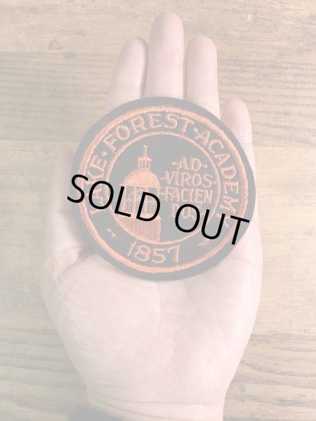 アメリカのイリノイ州レイクフォレストのボーディングスクールの〜70年代ビンテージ刺繡ワッペン