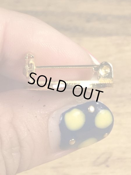 アメリカイリノイ州オーロラのカメの70〜80年代ビンテージメタルバッジ