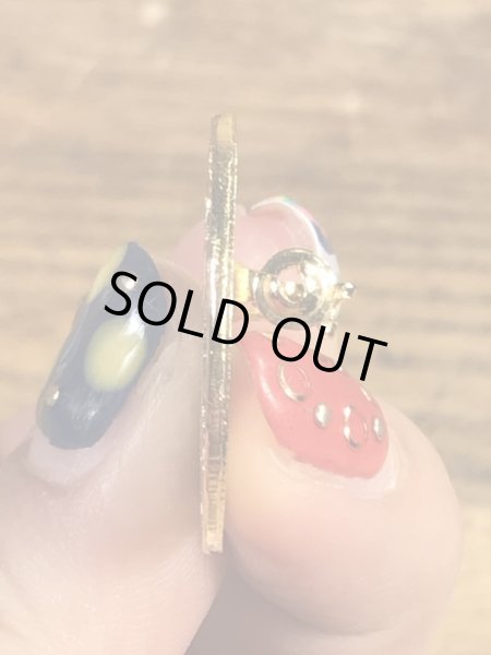 カメのスーベニア物の70〜80年代ビンテージピンバッジ