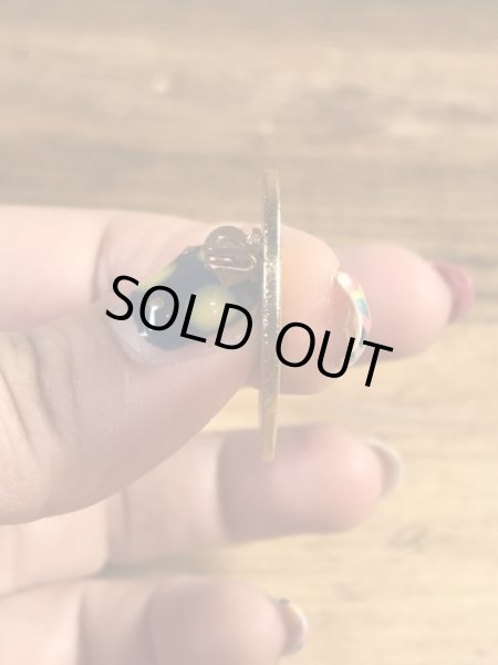 Georgia Cobb WBAのカメの70〜80’sヴィンテージピンバッジ