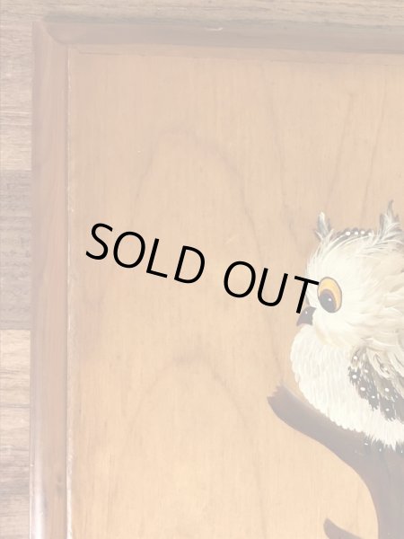 フクロウがハンドペイントで描かれた70’sヴィンテージ壁掛け