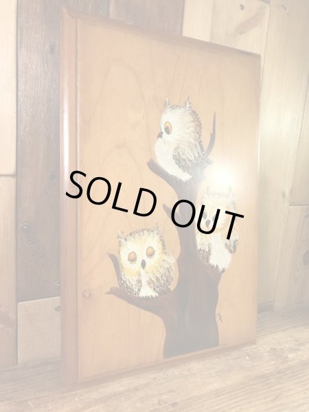 フクロウがハンドペイントで描かれた70年代ビンテージ壁掛け
