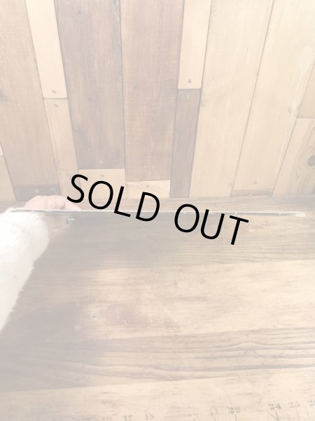 Irwin the Dynamic DuckのDuck Warsの70’sヴィンテージLP盤