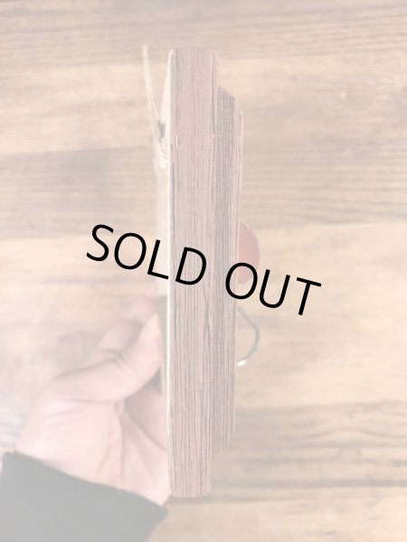 ルアーのポッパーが額縁に付いている50年代〜ビンテージ壁掛け