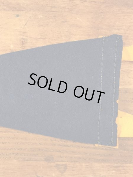 サンノゼステイトのカレッジ物の50〜60年代ビンテージペナント