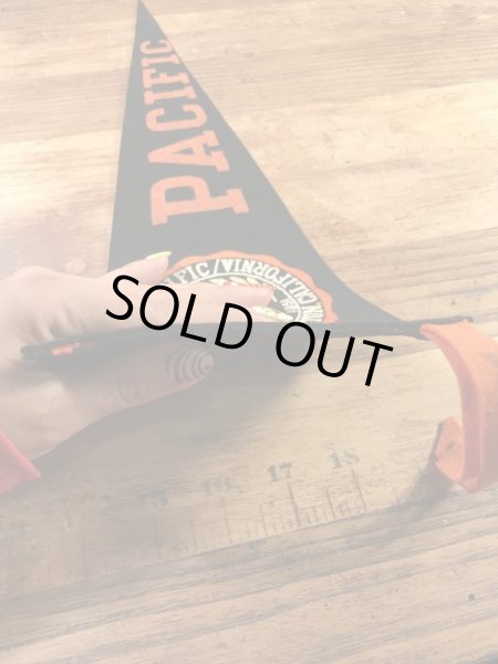 カラーフロッキーのカレッジ物の50〜60’sヴィンテージフェルトペナント