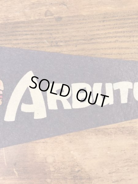 インディアンが描かれたArbutus Lakeの50〜60’sヴィンテージフェルトペナント