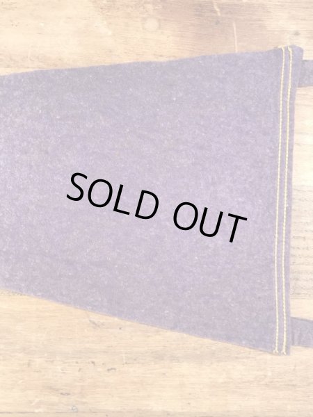 サンフランシスコチャイナタウンのスーベニア物の50〜60’sヴィンテージフェルトペナント