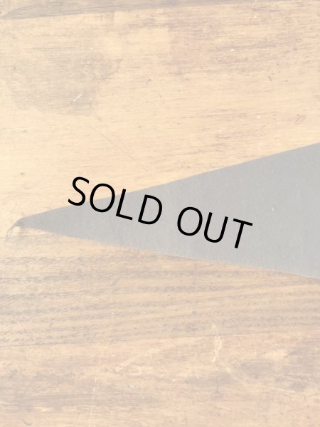 ニューヨークWorld's Fairのスーベニア物の60’sヴィンテージフェルトペナント