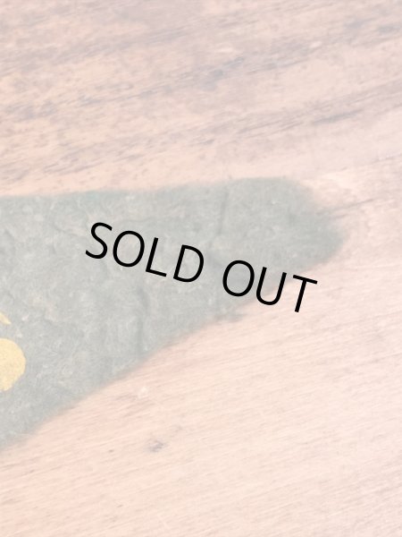 USアーミーのCamp Fannin,Texasの40〜50年代ビンテージペナント