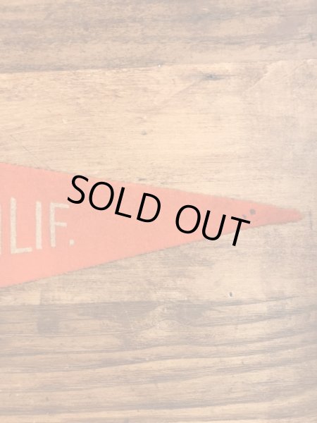 USアーミーのカラーフロッキーの40〜50年代ビンテージペナント