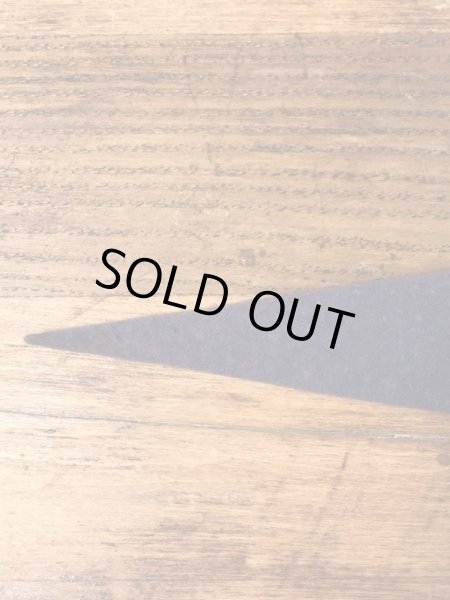 インディアンが描かれたスーベニア物の50〜60年代ビンテージペナント