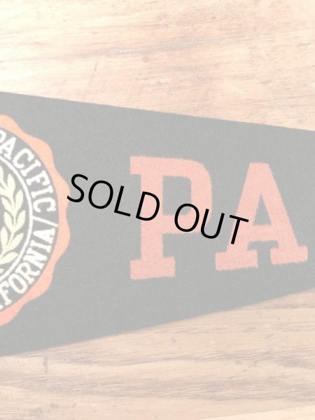 カラーフロッキーのカレッジ物の50〜60’sヴィンテージフェルトペナント