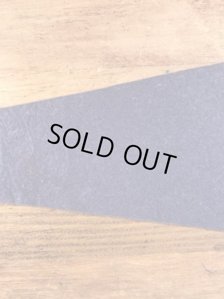 インディアンが描かれたスーベニア物の50〜60年代ビンテージペナント