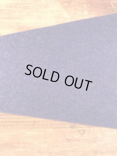 トーテムポールが描かれたスーベニア物の50〜60年代ビンテージペナント