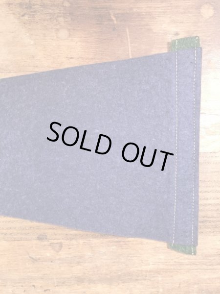 インディアンが描かれたArbutus Lakeの50〜60’sヴィンテージフェルトペナント