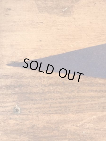 トーテムポールが描かれたスーベニア物の50〜60年代ビンテージペナント