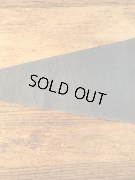 ニューヨークワールズフェアのスーベニア物の60年代ビンテージペナント