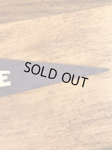 インディアンが描かれたArbutus Lakeの50〜60’sヴィンテージフェルトペナント