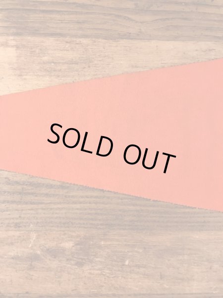 USアーミーのカラーフロッキーの40〜50年代ビンテージペナント