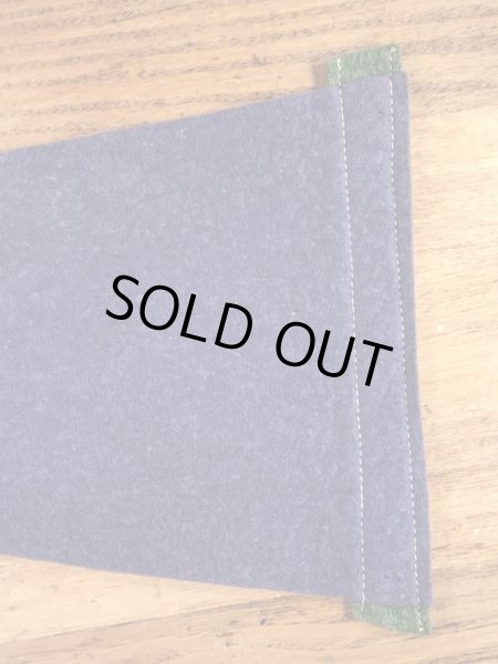 インディアンが描かれたArbutus Lakeの50〜60’sヴィンテージフェルトペナント