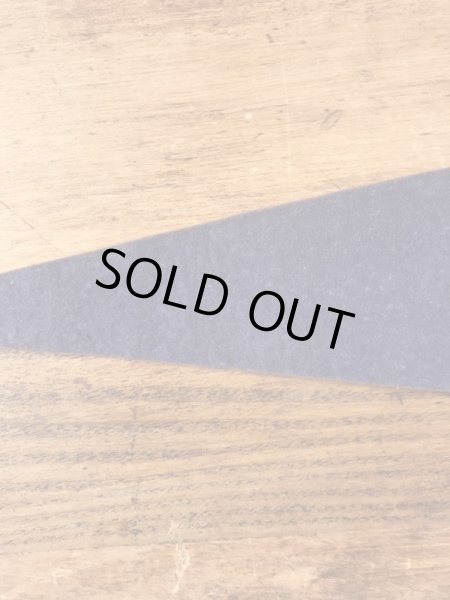 インディアンが描かれたArbutus Lakeの50〜60’sヴィンテージフェルトペナント